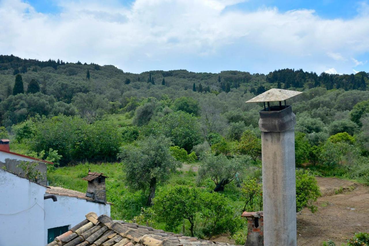 Balukas House Villa Dragotiná Dış mekan fotoğraf